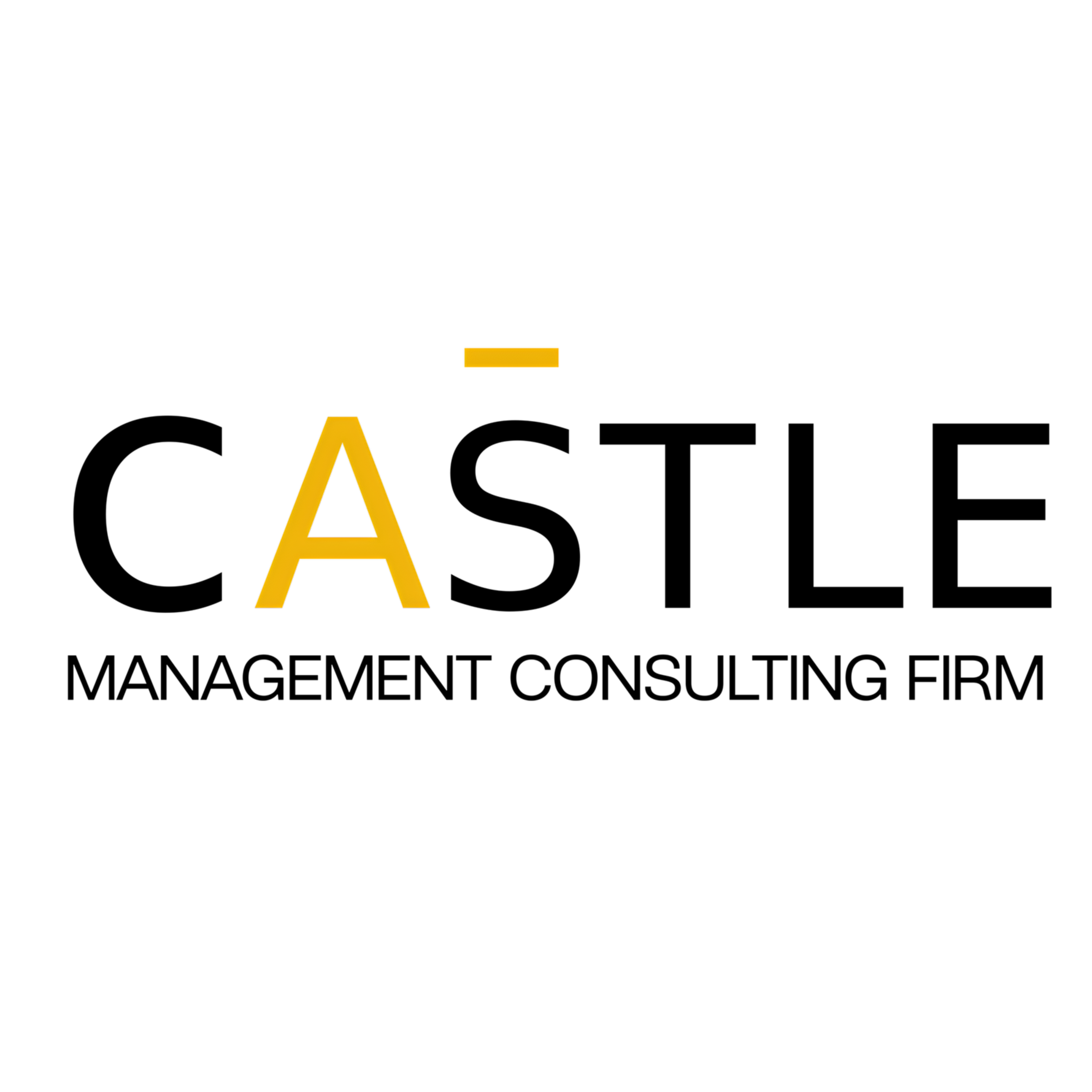 CASTLE CONSULTING